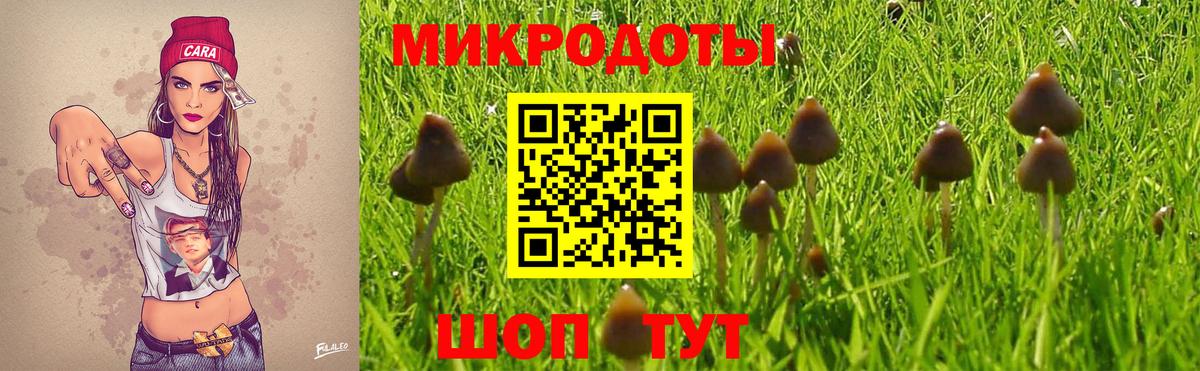 Галлюциногенные грибы GOLDEN TEACHER Борзя